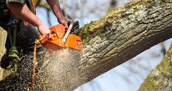 Worker in orange safety gear using a chainsaw to cut a tree trunk, creating sawdust sparks.
